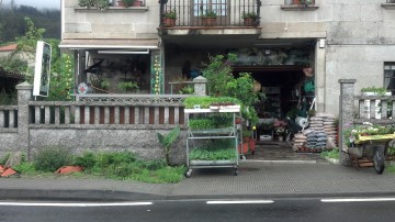  SdB  Jardineria-Floristeria