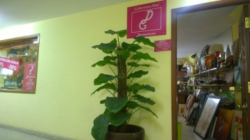Guillermina Abal Decoraciones