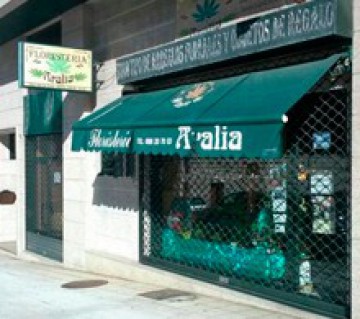 FloristerÃ­a Aralia