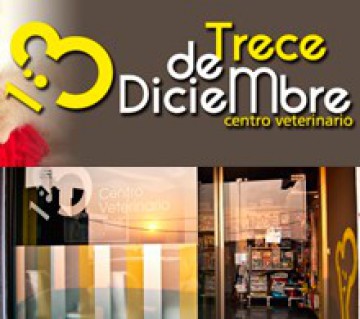 13 de Diciembre